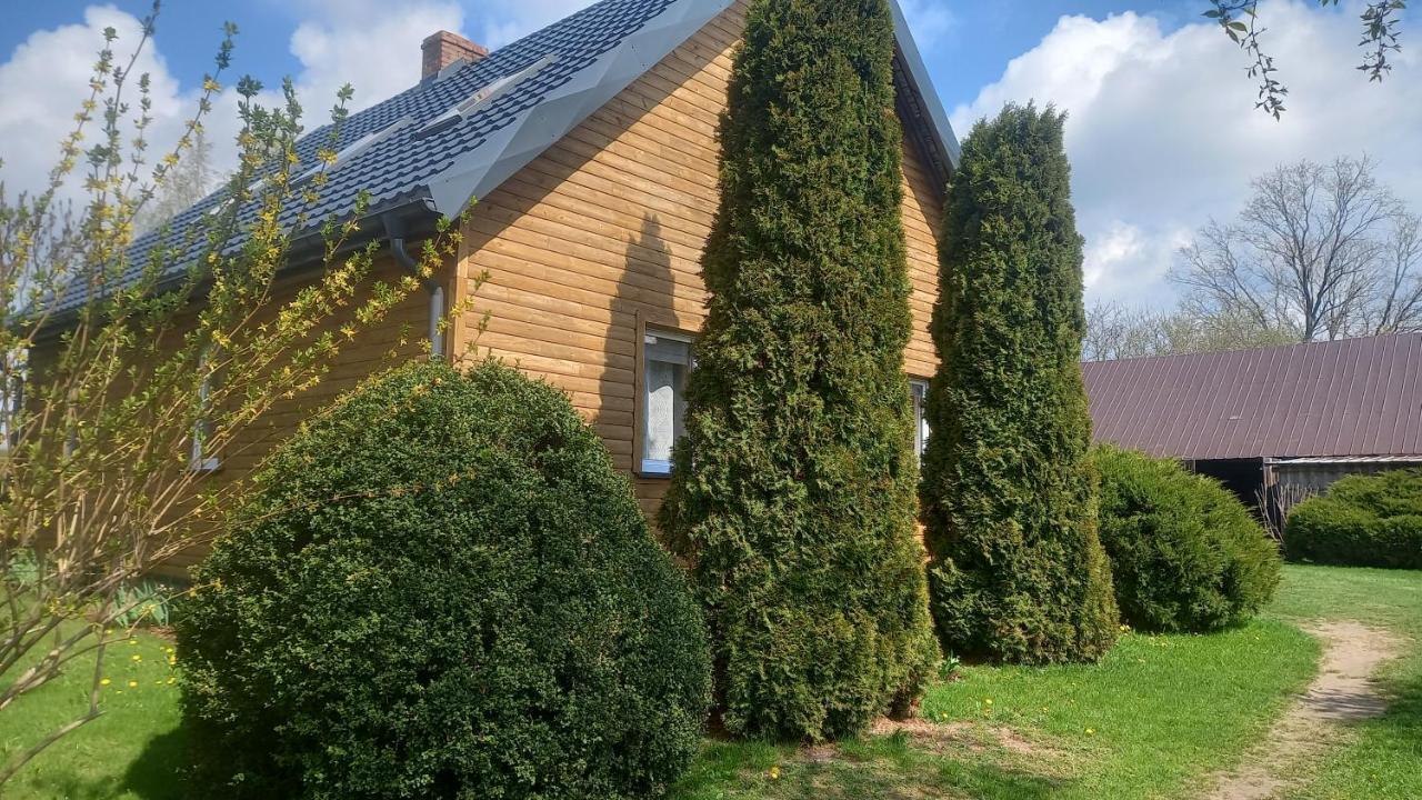 Dom Do Wynajecia Bocianie Gniazdo Lägenhet Augustów Exteriör bild