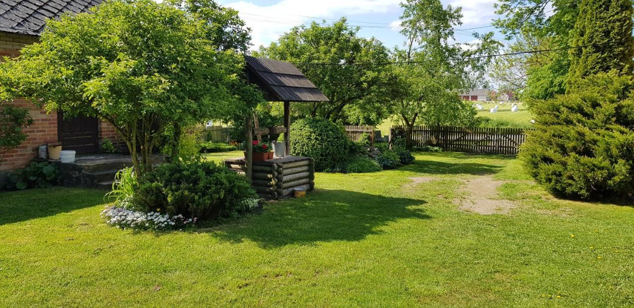 Dom Do Wynajecia Bocianie Gniazdo Lägenhet Augustów Exteriör bild