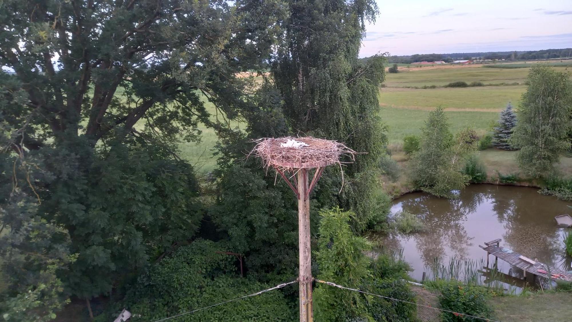 Dom Do Wynajecia Bocianie Gniazdo Lägenhet Augustów Exteriör bild